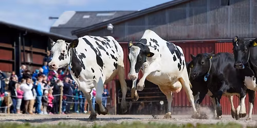 Wapn\u00f6 Betessl\u00e4pp