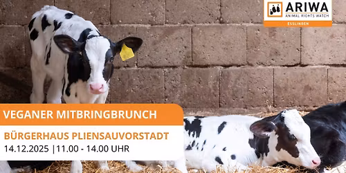 Der vegane Mitbringbrunch Esslingen