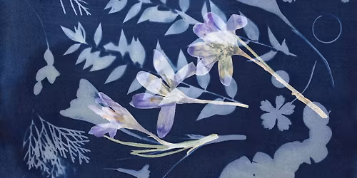 Irena Z. Toma\u017ein: \u0160e ena igra solz