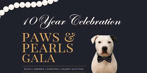 Pittie Posse's Paws & Pearls Gala, 10-Year Celebration