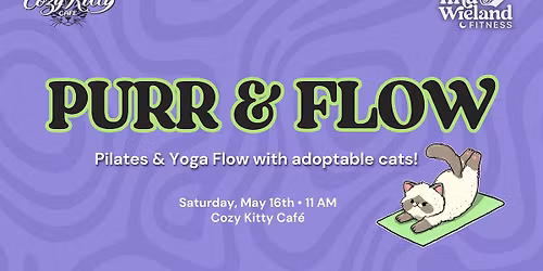 Purr & Flow : Pilates & Yoga with Adoptable Cats!