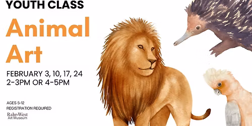 Animal Art - Youth Class