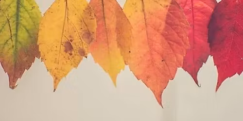 Enter the Quiet - Fall Silent Retreat