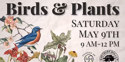 Birds & Plants