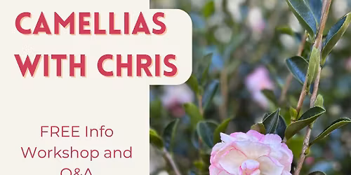 Camellias with Chris FREE WORKSHOP