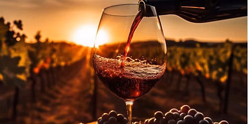 "VINO! ROSSO! PRONTO!!" The Red Wines of Italy