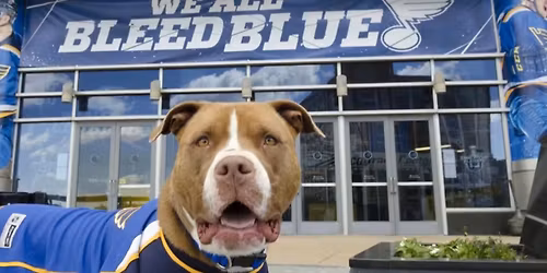 Blues Giveback Game + Adoption Event & Merch