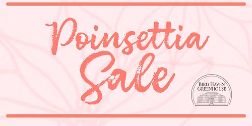 Poinsettia Sale