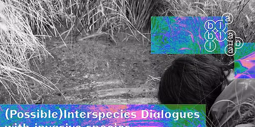 (Possible) Interspecies Dialogues with Invasive Species by Yi Zhang
