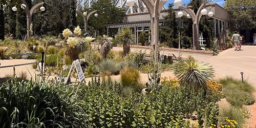 Botanic Gardens - Weekday Meetup