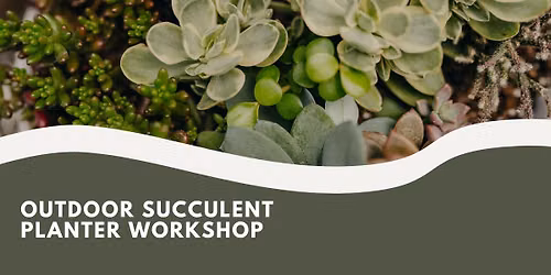 Outdoor Succulent Planter Workshop
