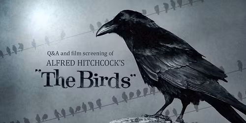 Q&A and film screening of Hitchcock's "The Birds" at the Met