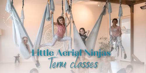 Little Aerial Ninjas Term Classes