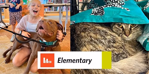 Discovery Days: Pals for Paws
