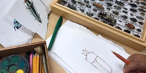 Drawing Night at the Museum