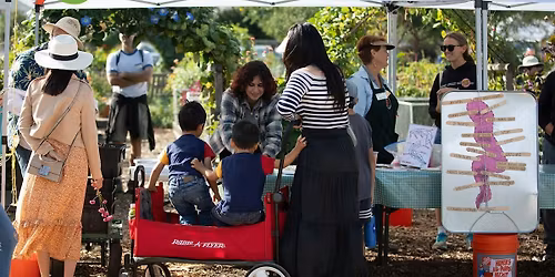 Cupertino- Composting Basics Workshop
