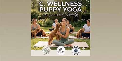 Labradoodle Puppy Yoga