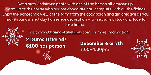 Holiday with the Horses!