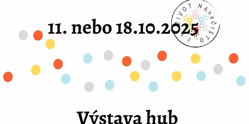 Výstava hub