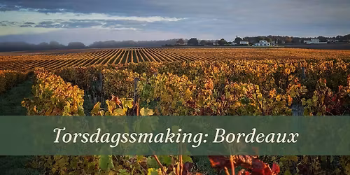 Torsdagssmaking: Bordeaux