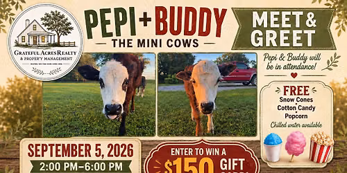 Mini cow meet & greet 