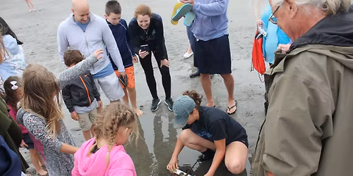 OAK (Outdoor Adventure Kids) - Horseshoe Crab Tagging