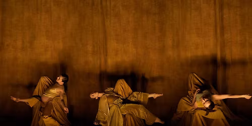 MIEL - Collectif LA TRESSE