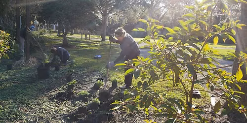 Bay Preserve at Osprey Volunteer Event and Picnic