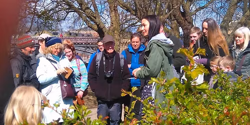 FULL: York Summer Wild Food Foraging Walk with FREE Wild Food Ebook