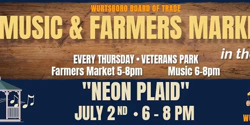 Neon Plaid- WBOT Music & Farmers Market in the Park
