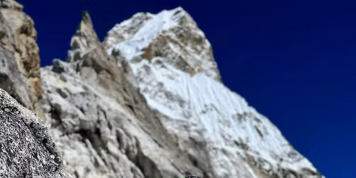 Jane Lee - An Unlikely Adventurer
