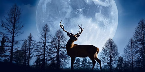 Buck Full Moon