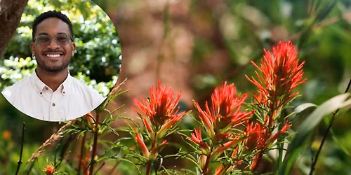 Hybrid Lunchbox Talk: Hemiparasitic Plants in Grassland Restoration
