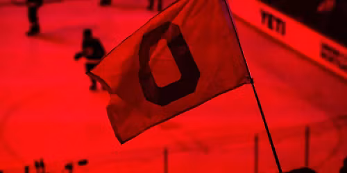 Michigan State Spartans at Ohio State Buckeyes Mens Hockey