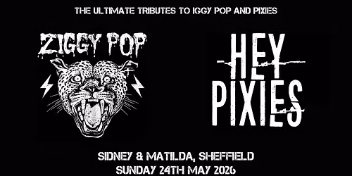 Ziggy Pop and Hey Pixies Live @ Sidney and Matilda, Sheffield