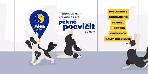 Zkou\u0161ky DogDancing a Rally DogDancing DDCCR