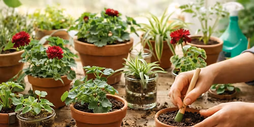 Grow Plants from Cuttings: A Hands-On Workshop