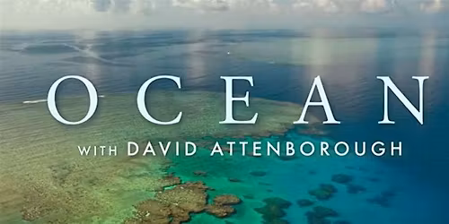 Screening of David Attenborough's Ocean documentary (free)