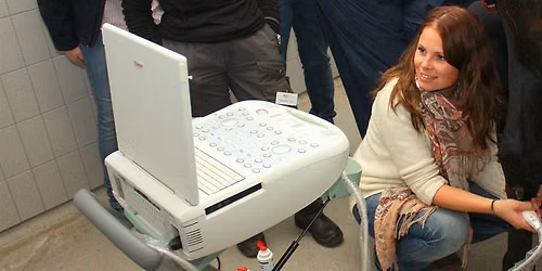 Musculoskeletal Ultrasound for Equine Practitioners \u2013 A 2-Day Practical Course