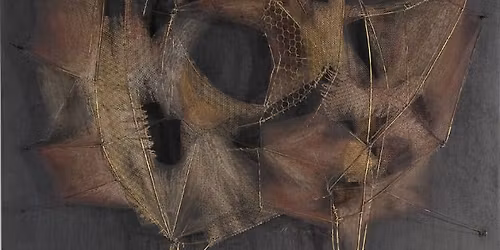 Still. Moving: Metamorfosis (Alba) as interpreted by Tara Z. Mullins