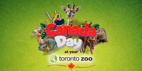 Canada Day at Your Toronto Zoo \ud83c\udde8\ud83c\udde6