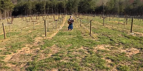 Mandi Strachota @ Ott Farms and Vineyard