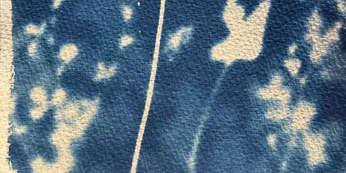 Exposition : Balade bleue, po\u00e9sie v\u00e9g\u00e9tale par Jislen Butazzoni