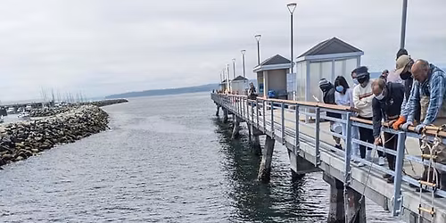 2026 Edmonds Coho Net Pen Release and Frame Breakdown