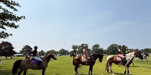 Red Fox Equestrian August 9 Mini Trial