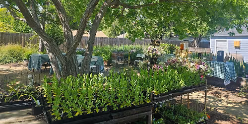 Yoga at Revival Flower Farm