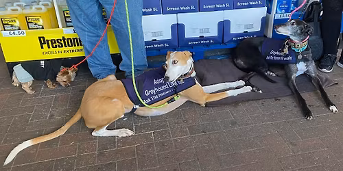 In store collection and awareness event Tesco store, Haydock, St. Helens