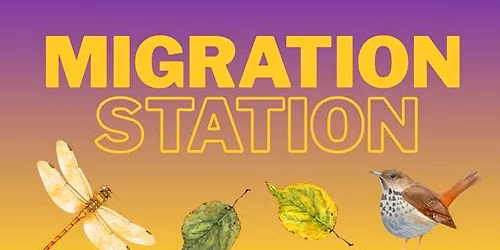 Migration Station Pop-Up Program