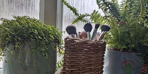 Make a willow beaker pot