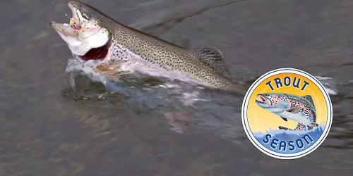 Trout Opener